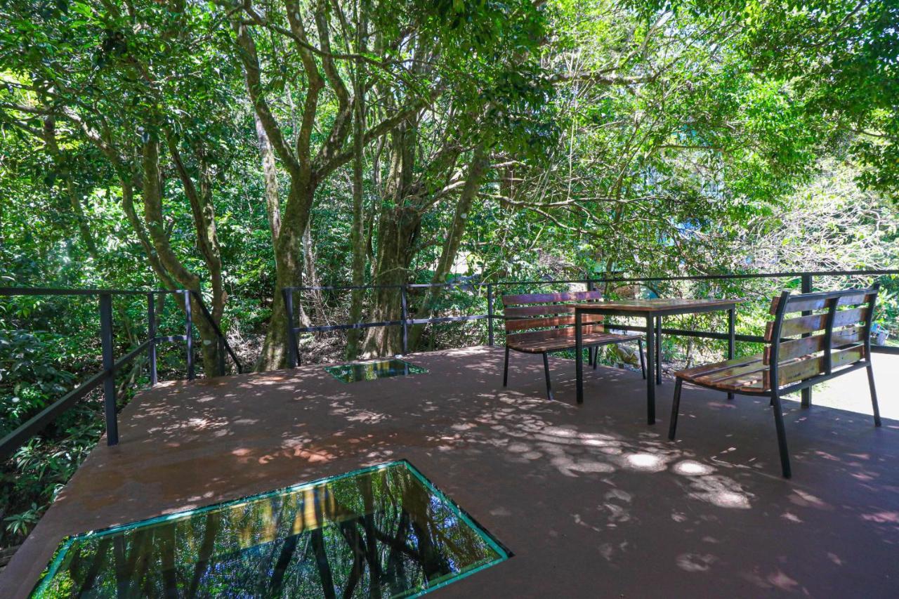 La Casa De La Montana 2* Monteverde