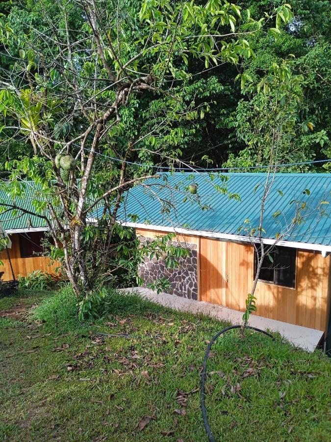 Chalet Bajo Bosque Drake *
