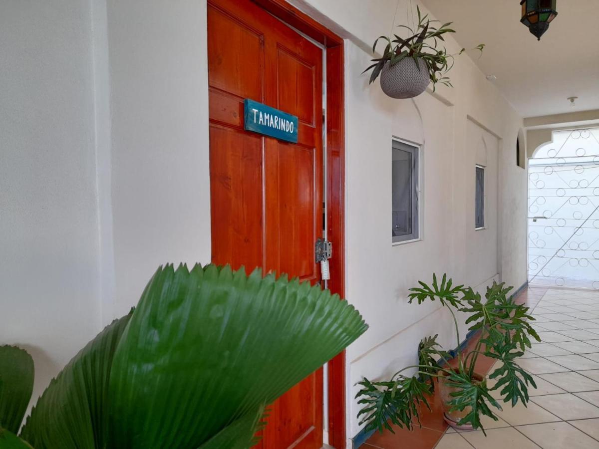 Hotel Zulu Surf 3*