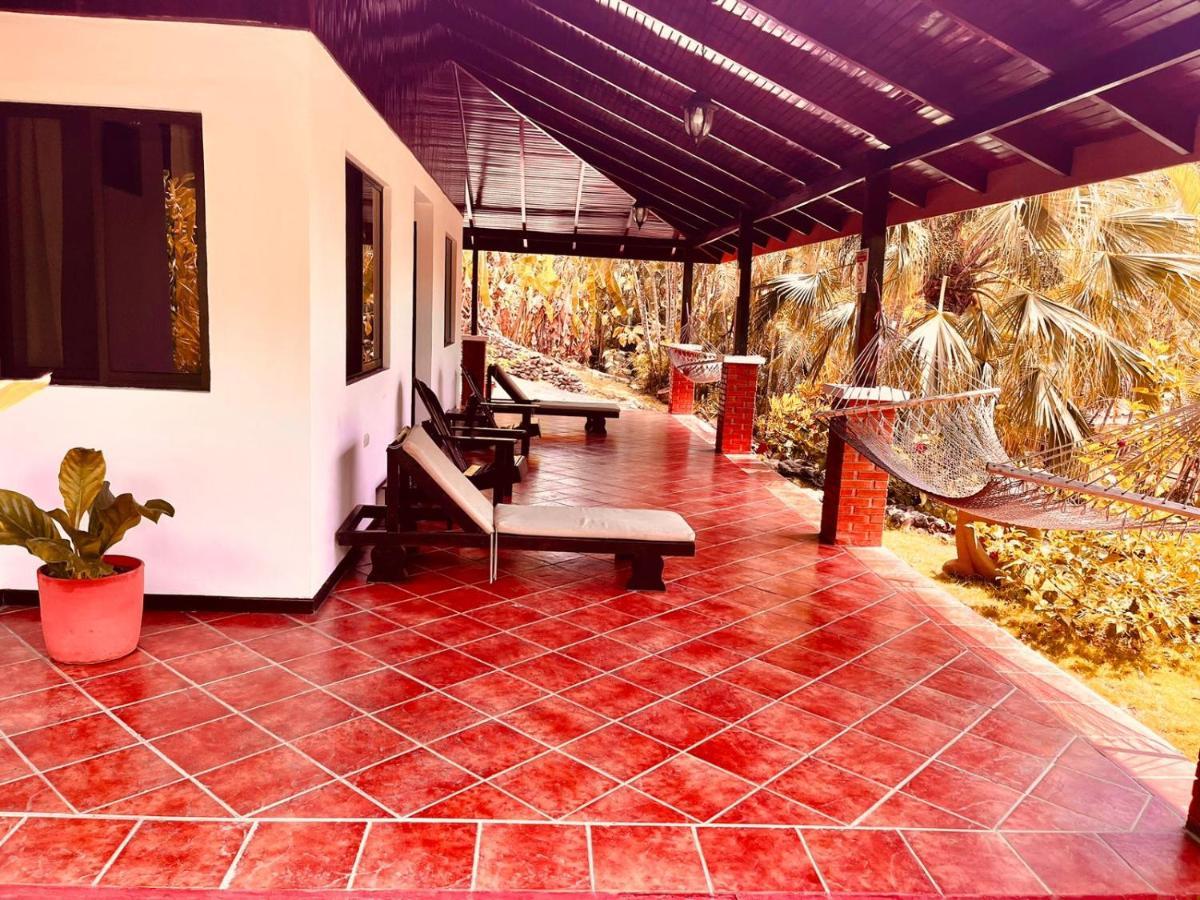 El Jardin 2*