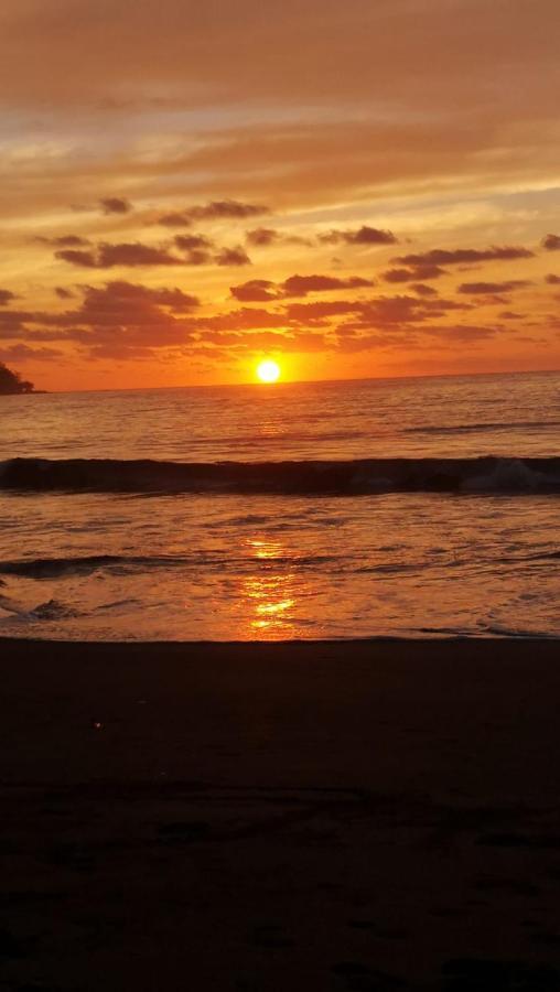 Hidden Paradise 3* Drake Bay