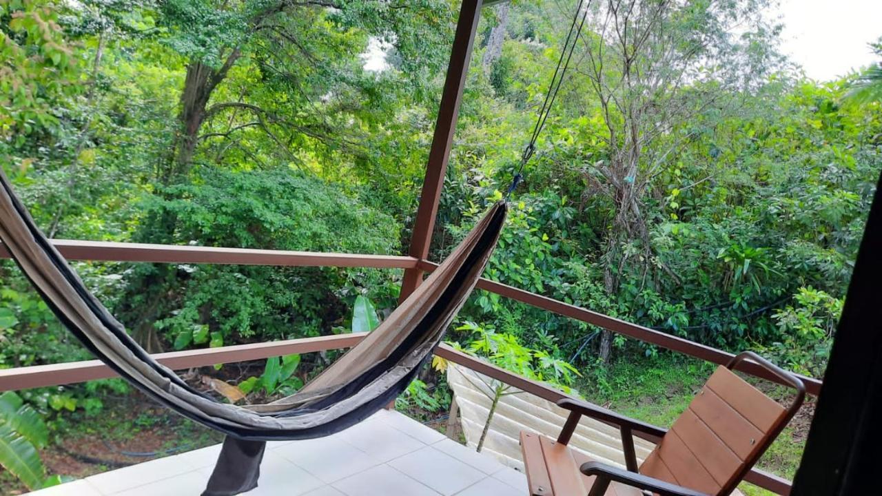 Bajo Bosque Drake Chalet
