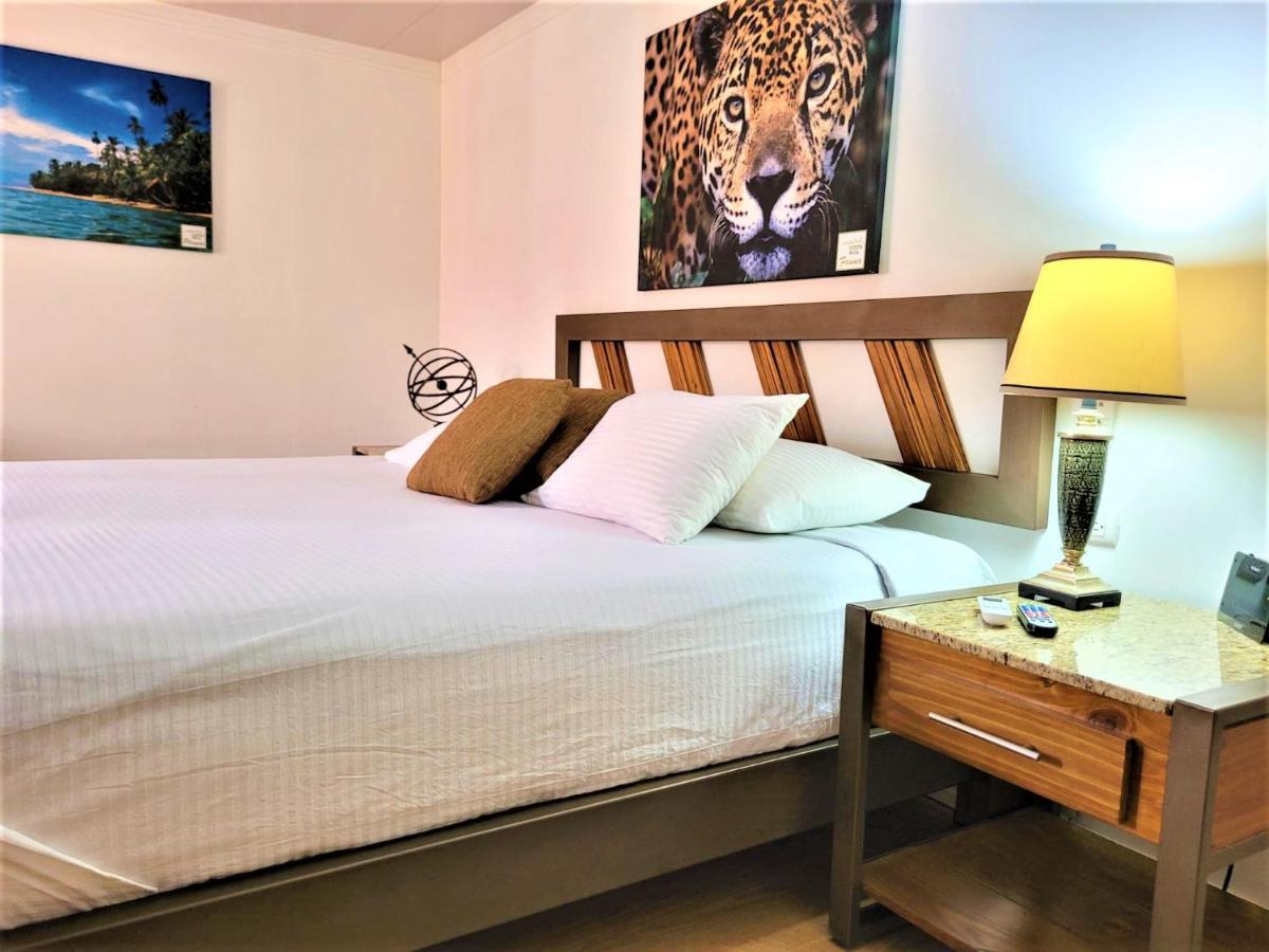 Hotel Zima San Isidro De El General