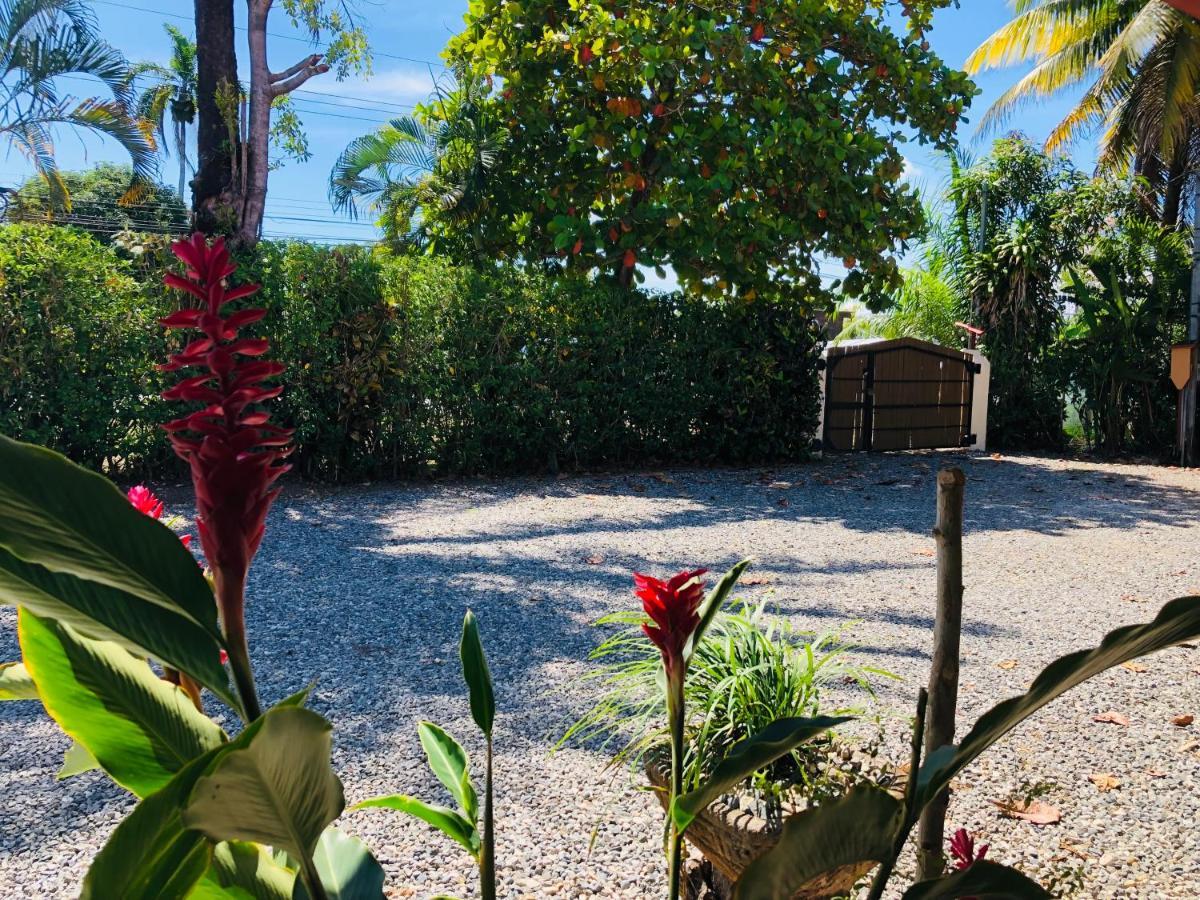 Cocodrilo Bed & Breakfast *