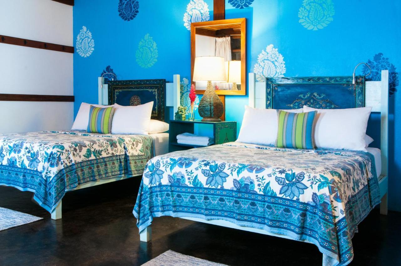 Blue Osa & Puerto Jimenez