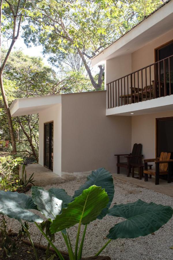 Dreamsea Surf Camp Costa Rica Hostel