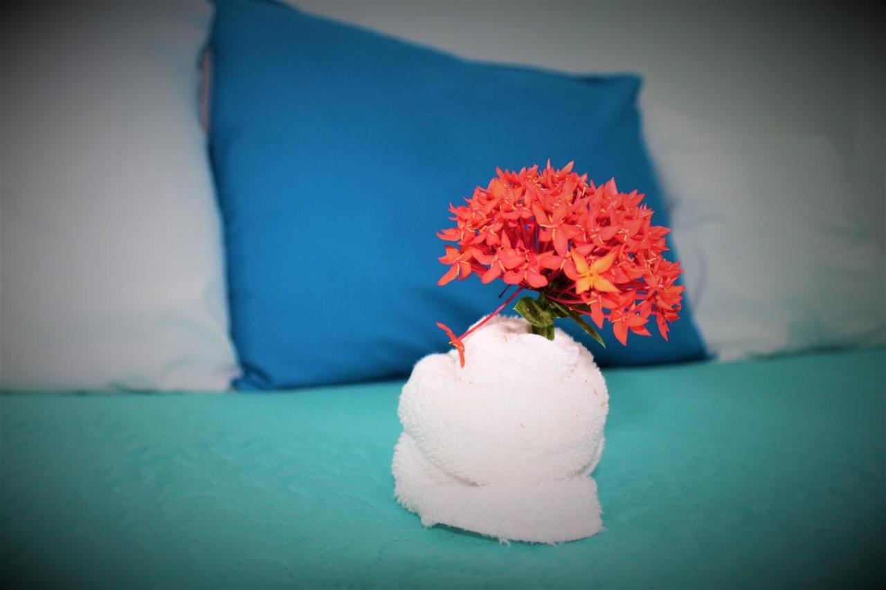 Aparthotel Toro Blanco 4*