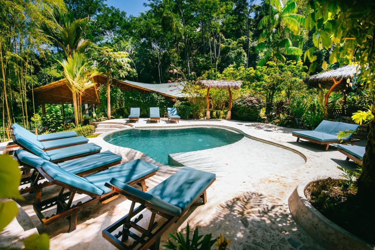 Hotel Selva Armonia Immersive Jungle Uvita