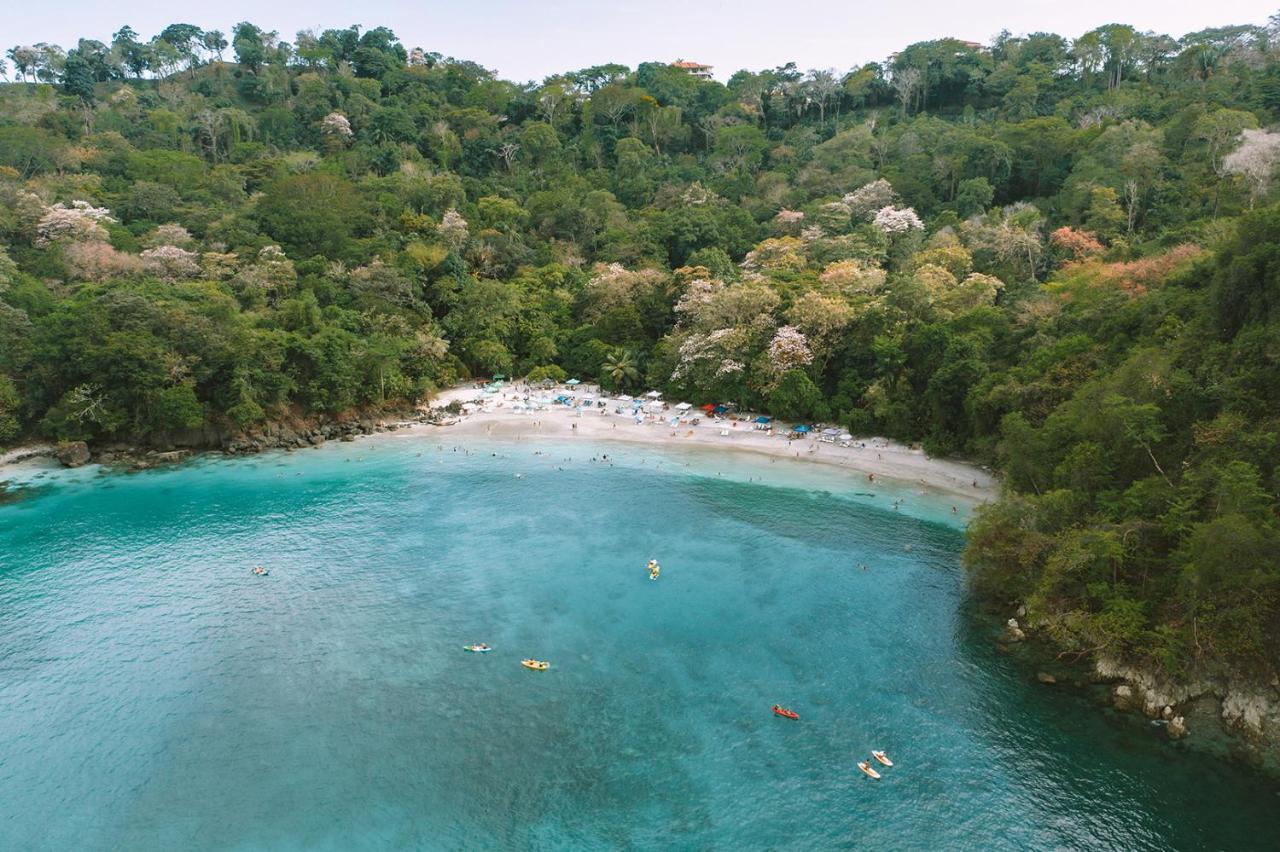 Nature And Resort Manuel Antonio