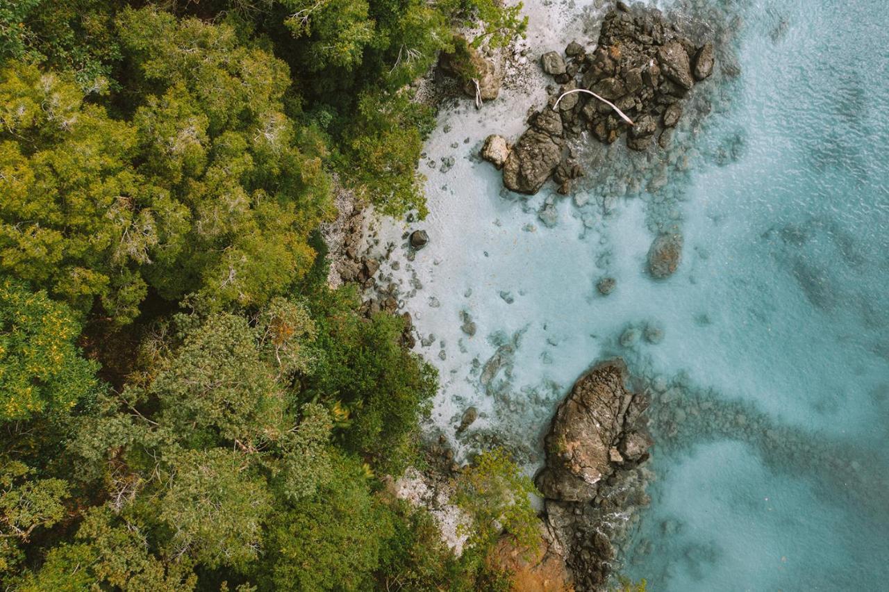 Nature And 5* Manuel Antonio