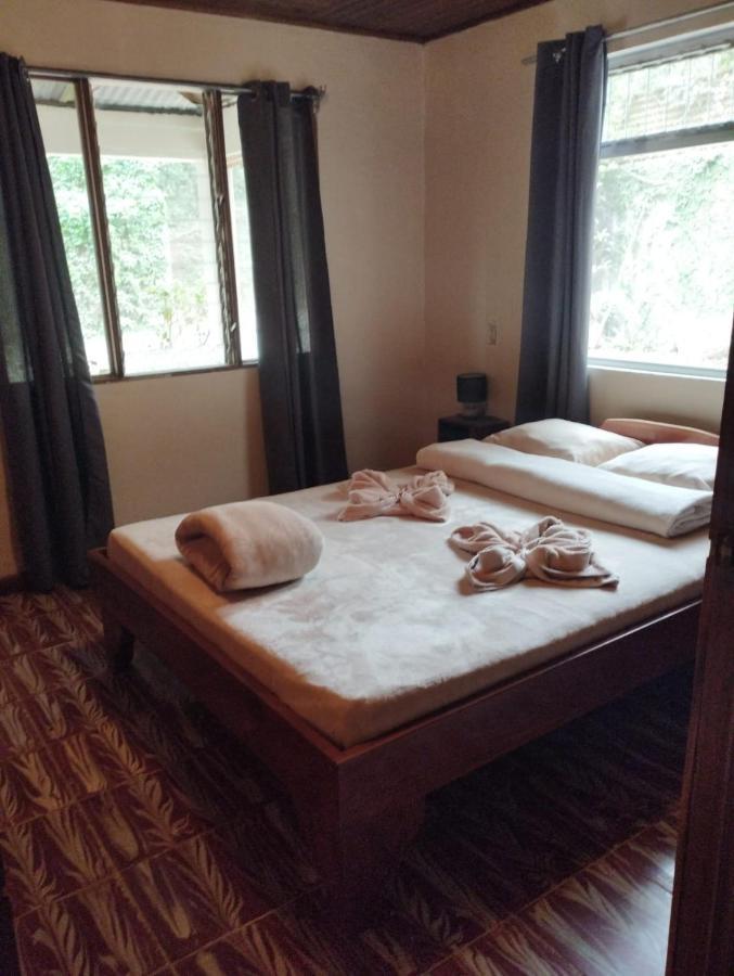 Nature House Guest house