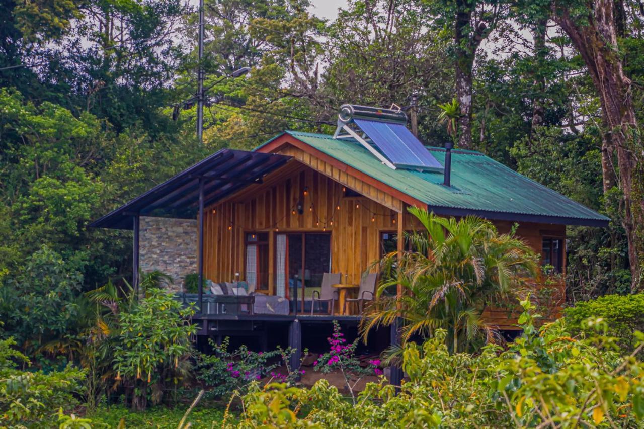 Hoja Monteverde