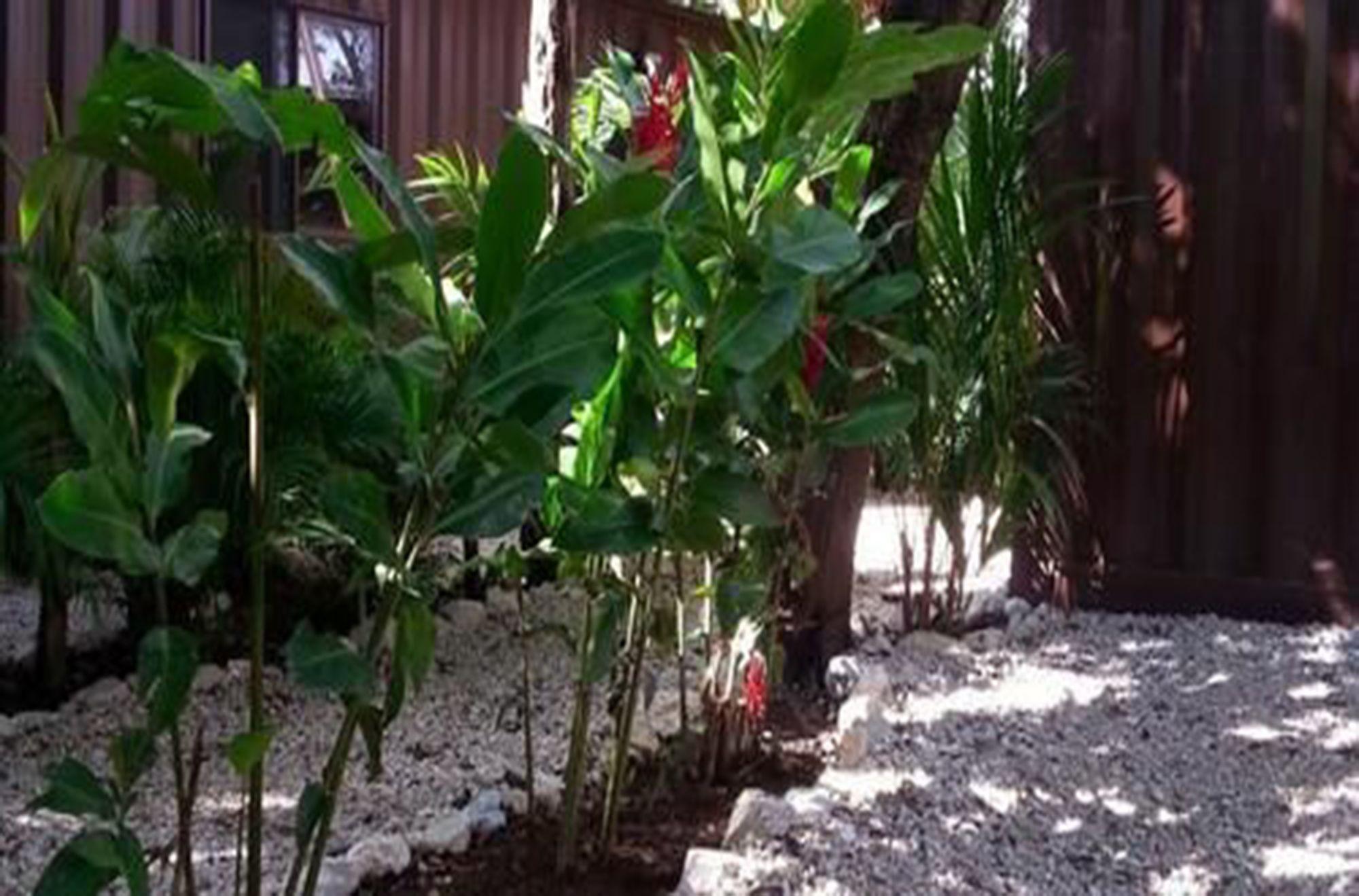 Hotel Sanctuary 3*