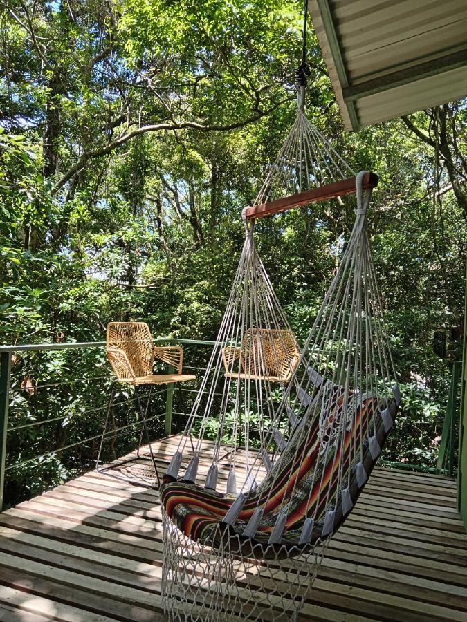 Jungle Living Tree Lodge *