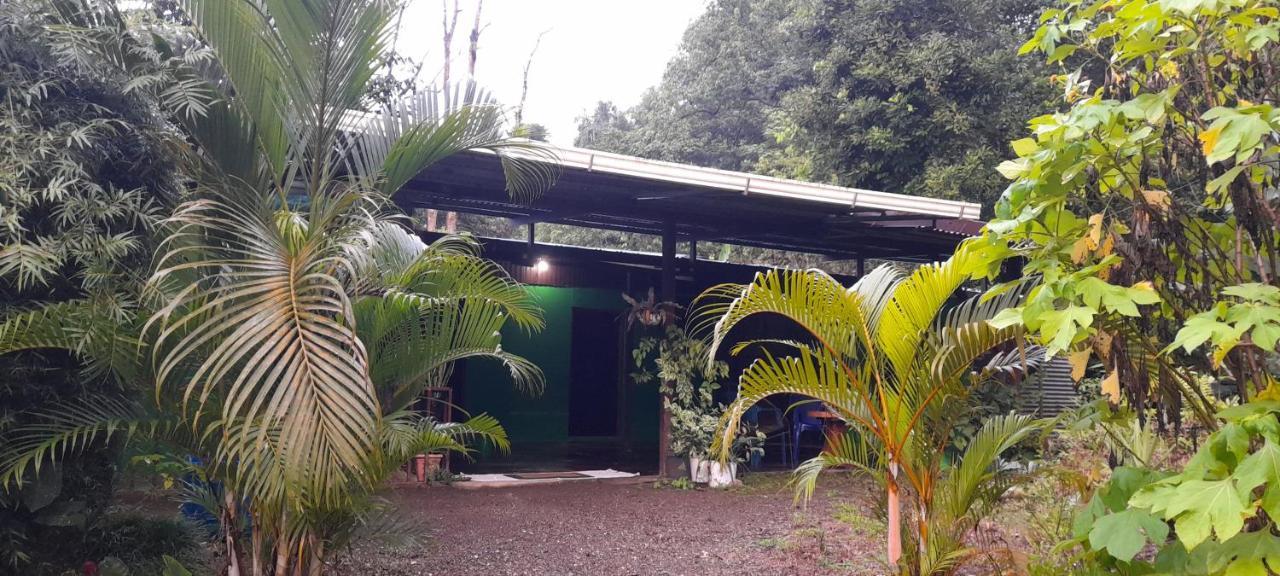 Guest house Our Corcovado Drake Bay