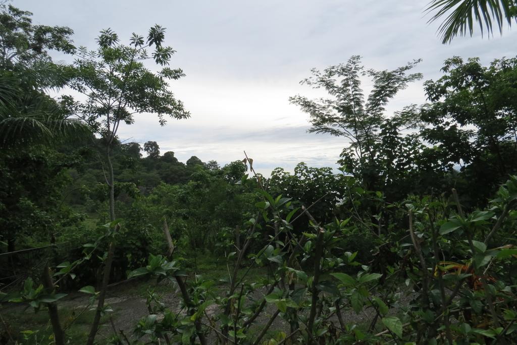 Karibu Apartment