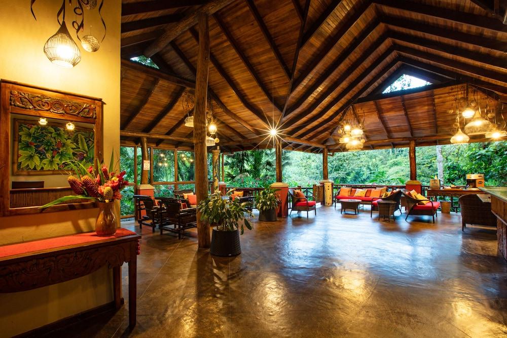 Lost Iguana And Hotel La Fortuna