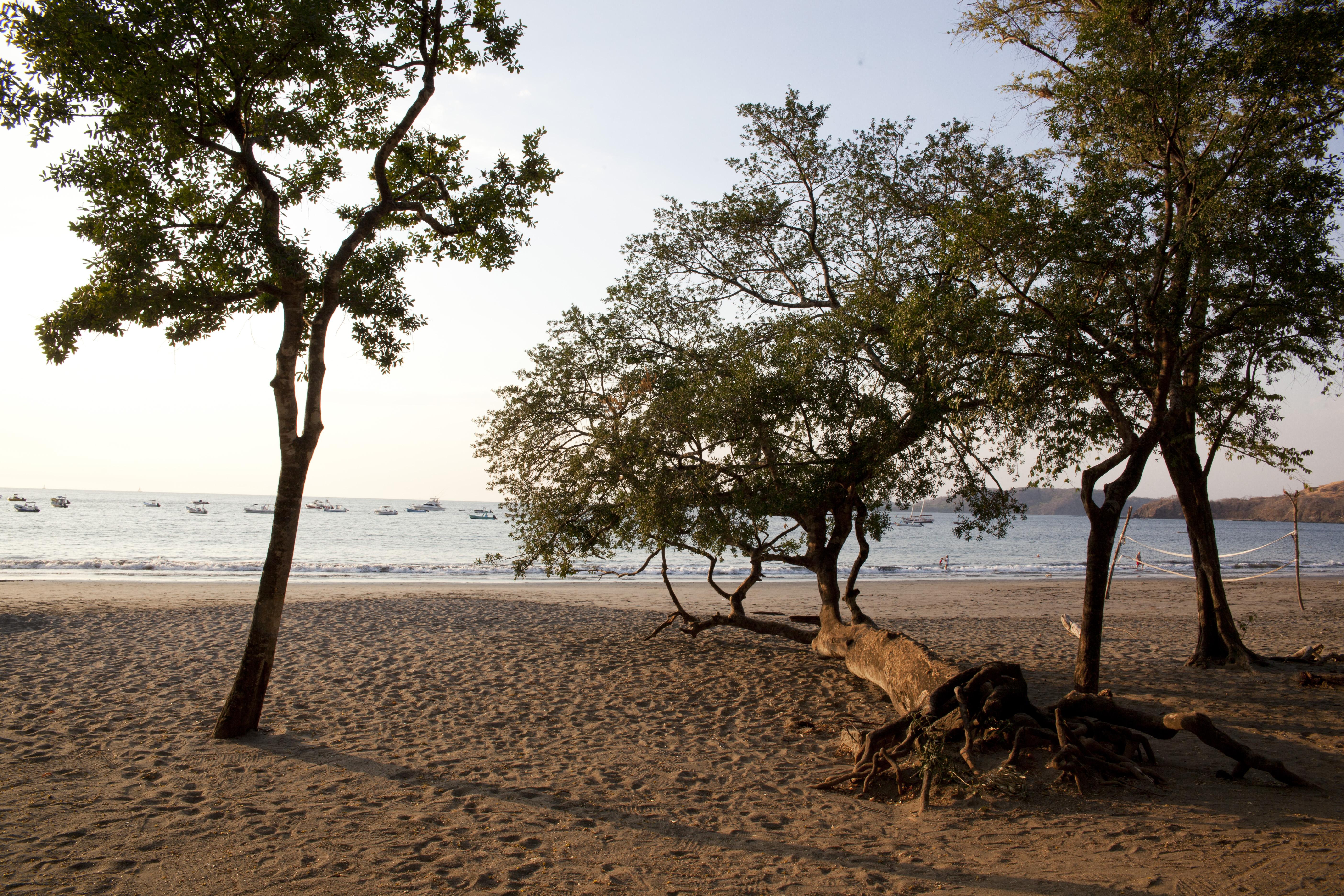 Bosque Del Mar Playa Hermosa 5* Playa Hermosa (Guanacaste)