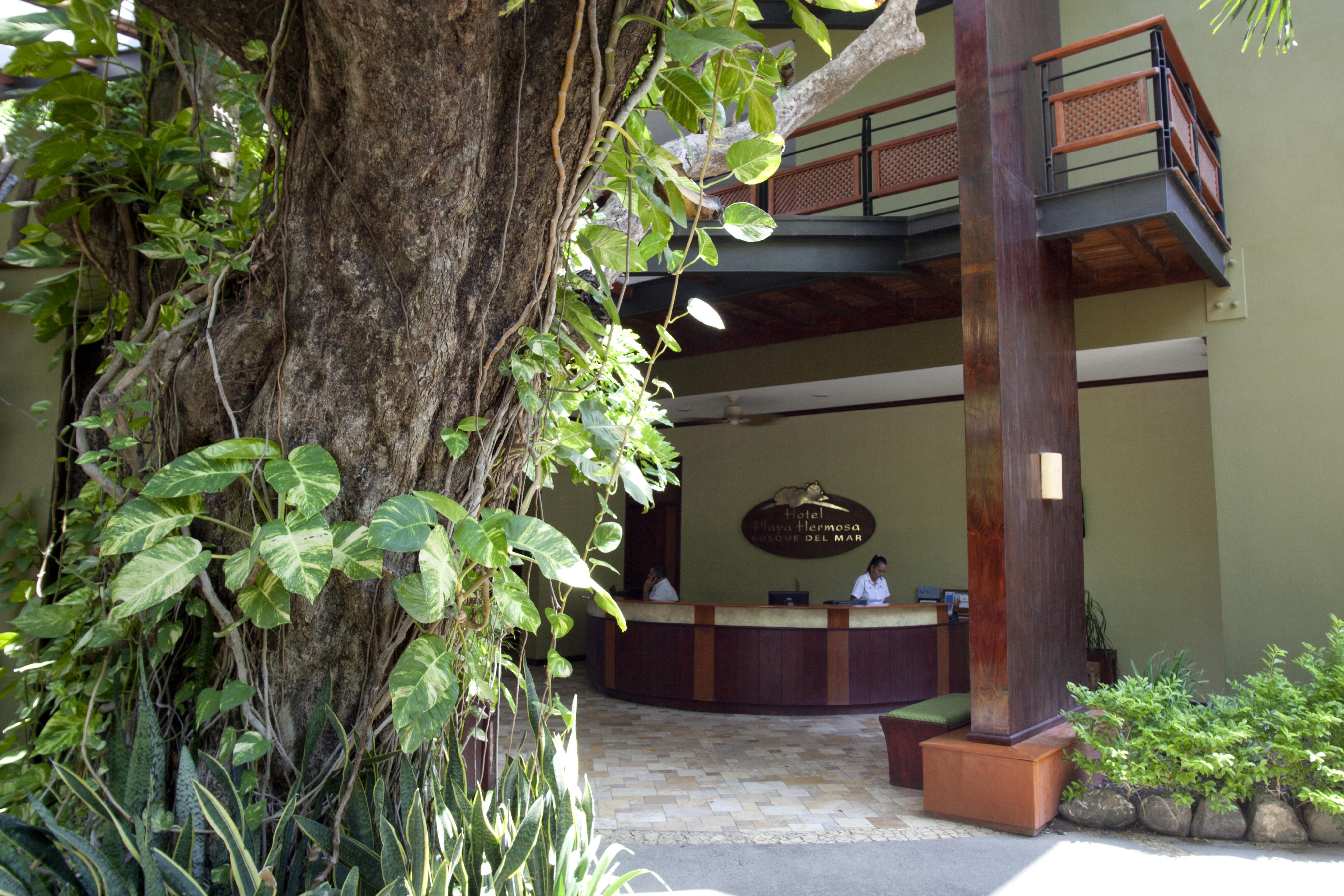 Hotel Bosque Del Mar Playa Hermosa