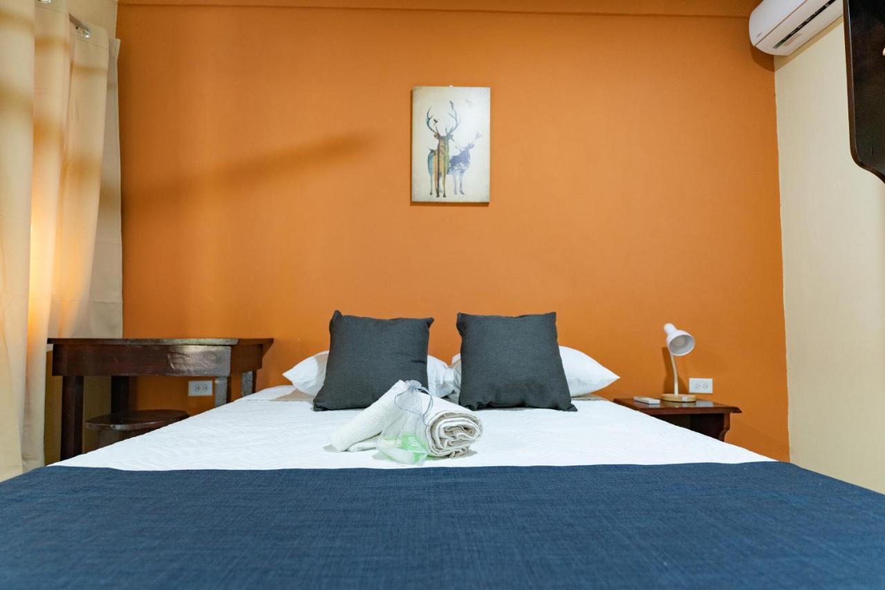 El Cocobolo Food&rest 6 Wifi Ac Pkg Gratis *