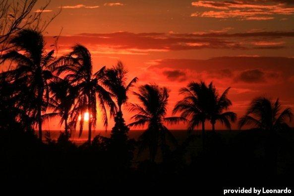 Best Western Vista Hotel 3*
