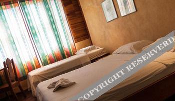 Hotel Flying Crocodile 3*