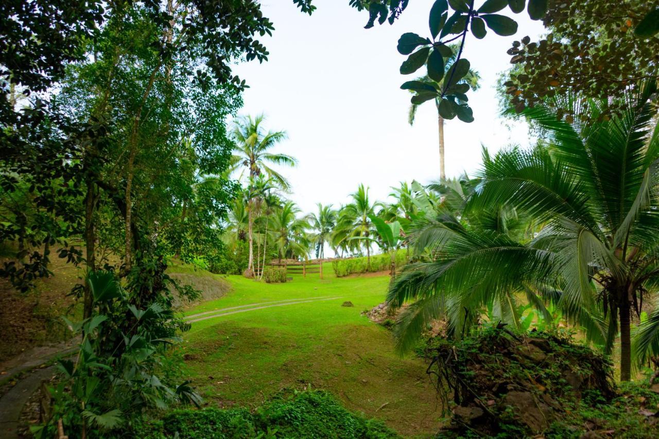 Hotel Corcovado Wilderness By Scp 5*