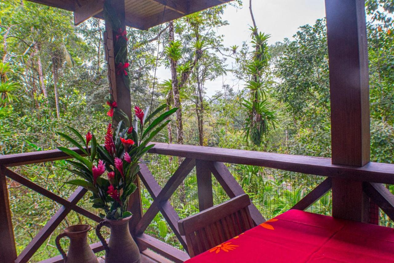 Villa Casitas Ginger