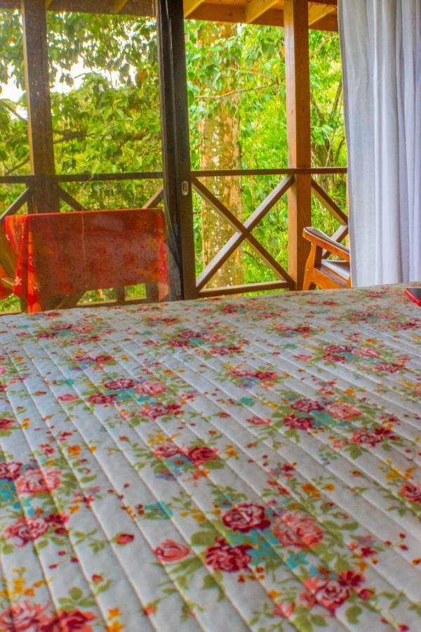 Villa Casitas Ginger Quepos