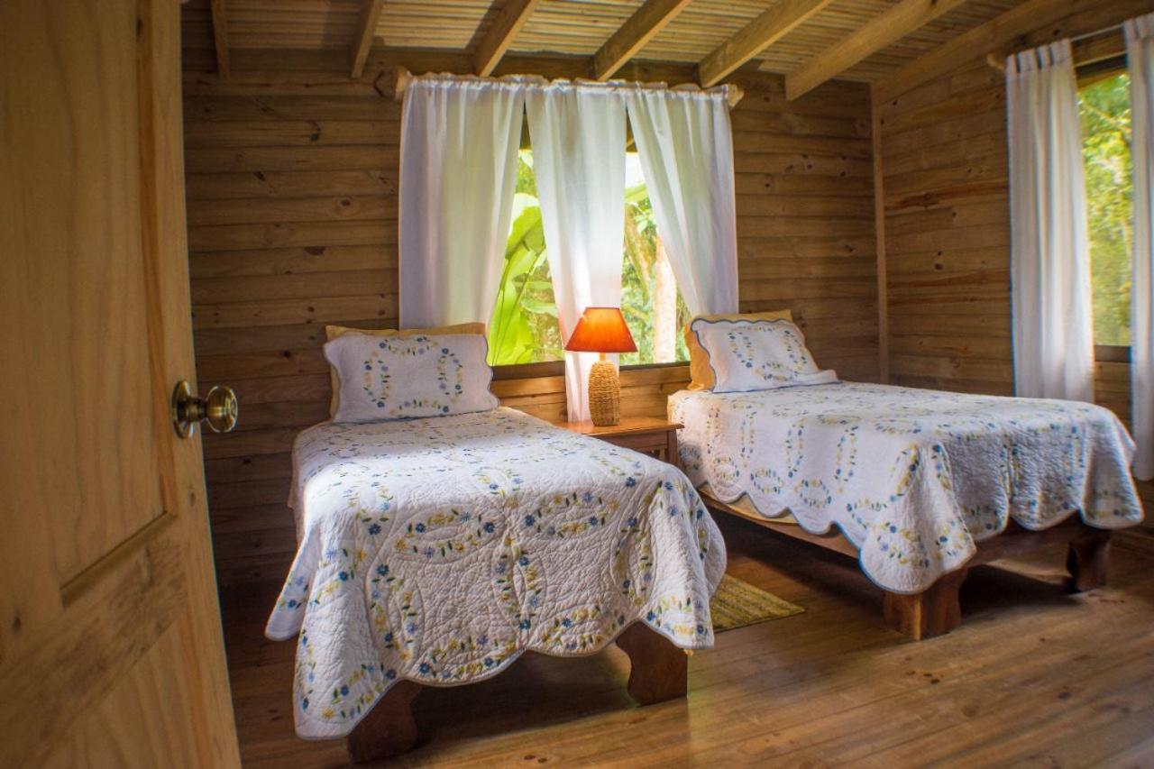 Casitas Ginger