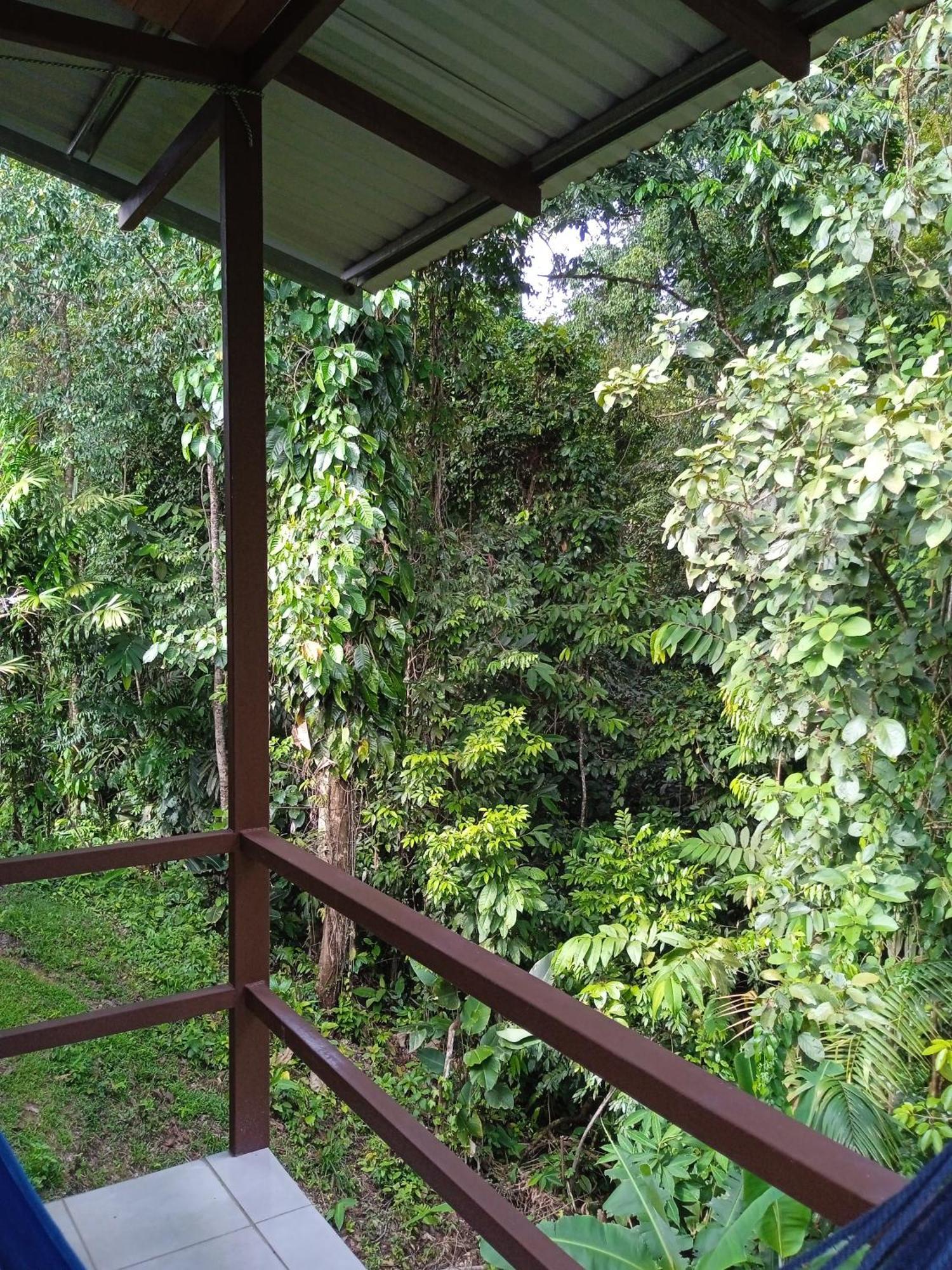 Bajo Bosque Drake Chalet Drake Bay
