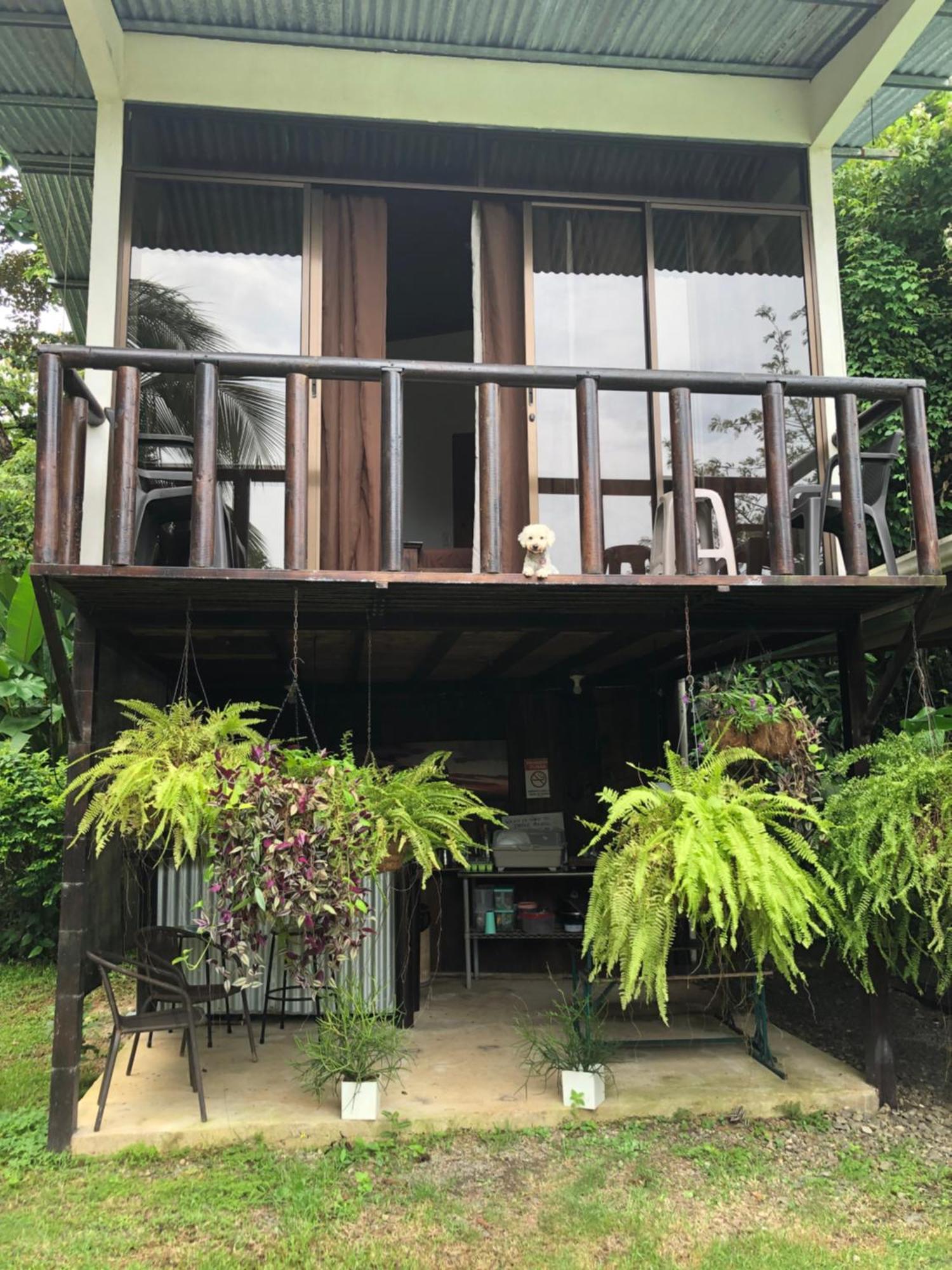 Lodge Casa Morpho