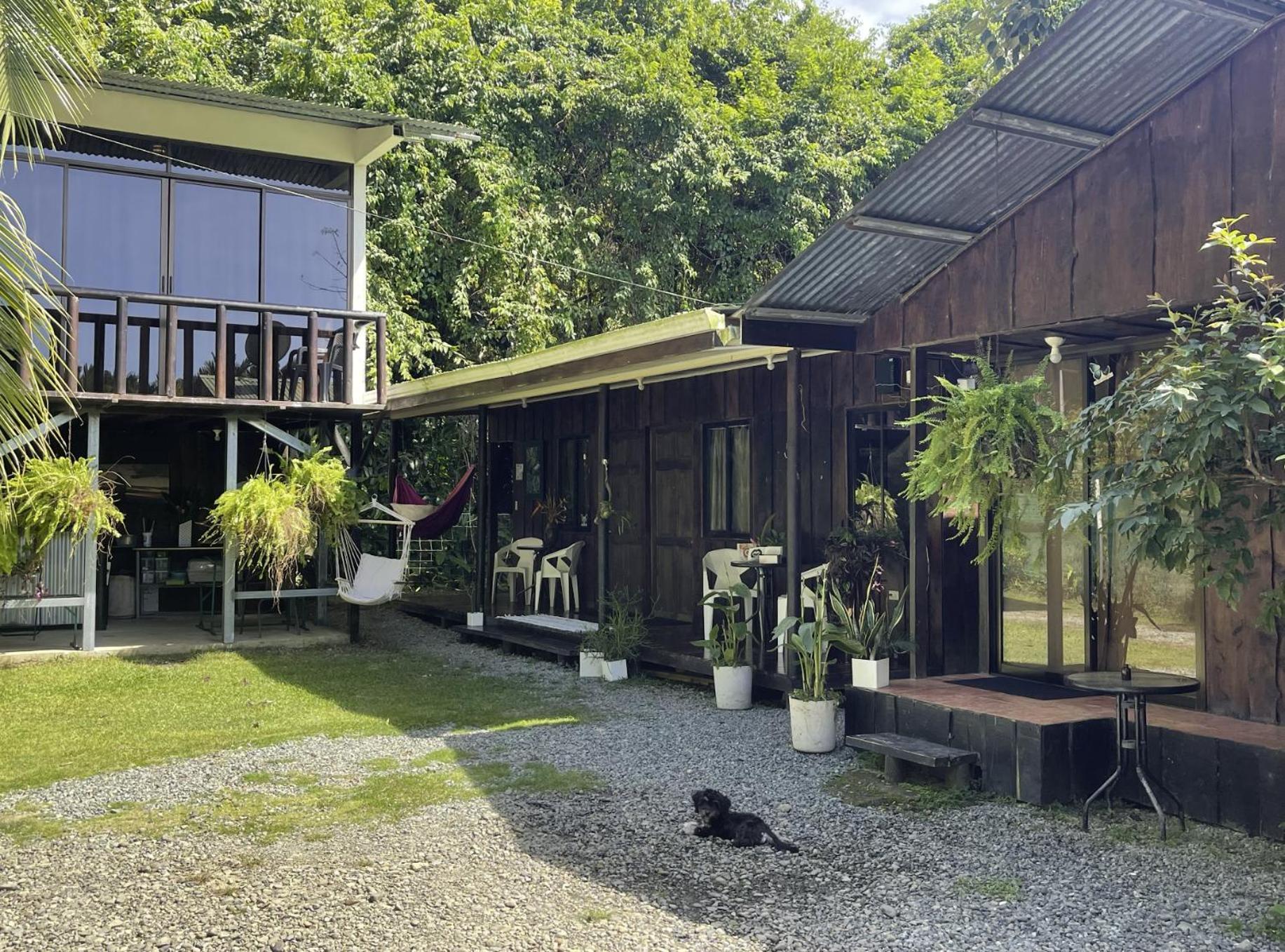 Casa Morpho Uvita
