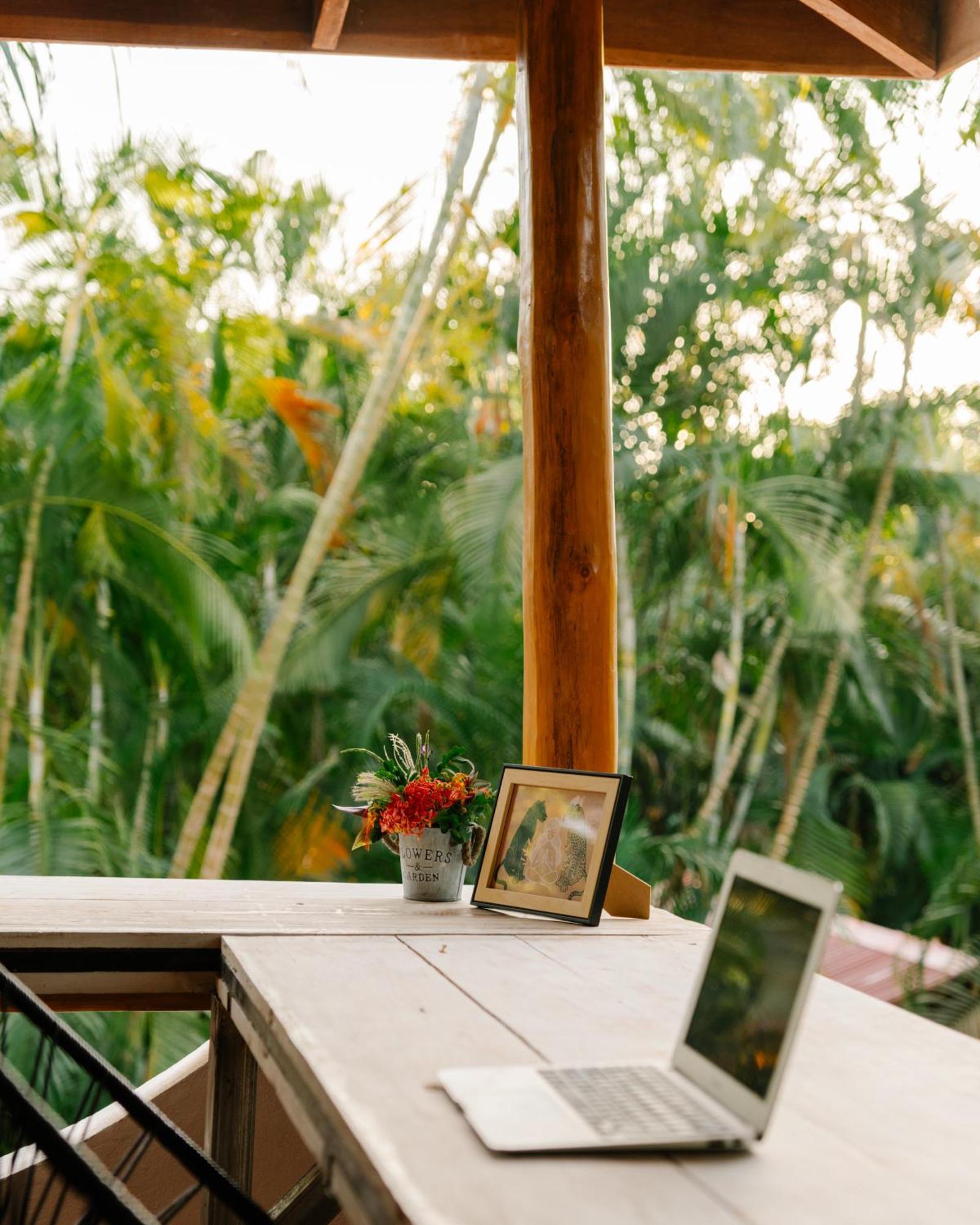 Salty Enthusiasts Share House & Playa Santa Teresa (Puntarenas)