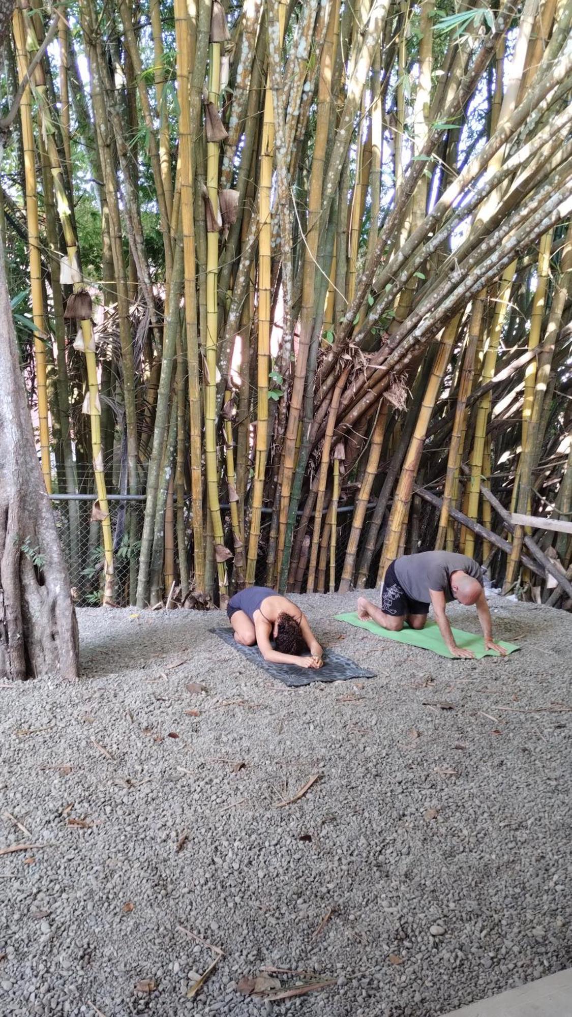 Casajungla Hostel