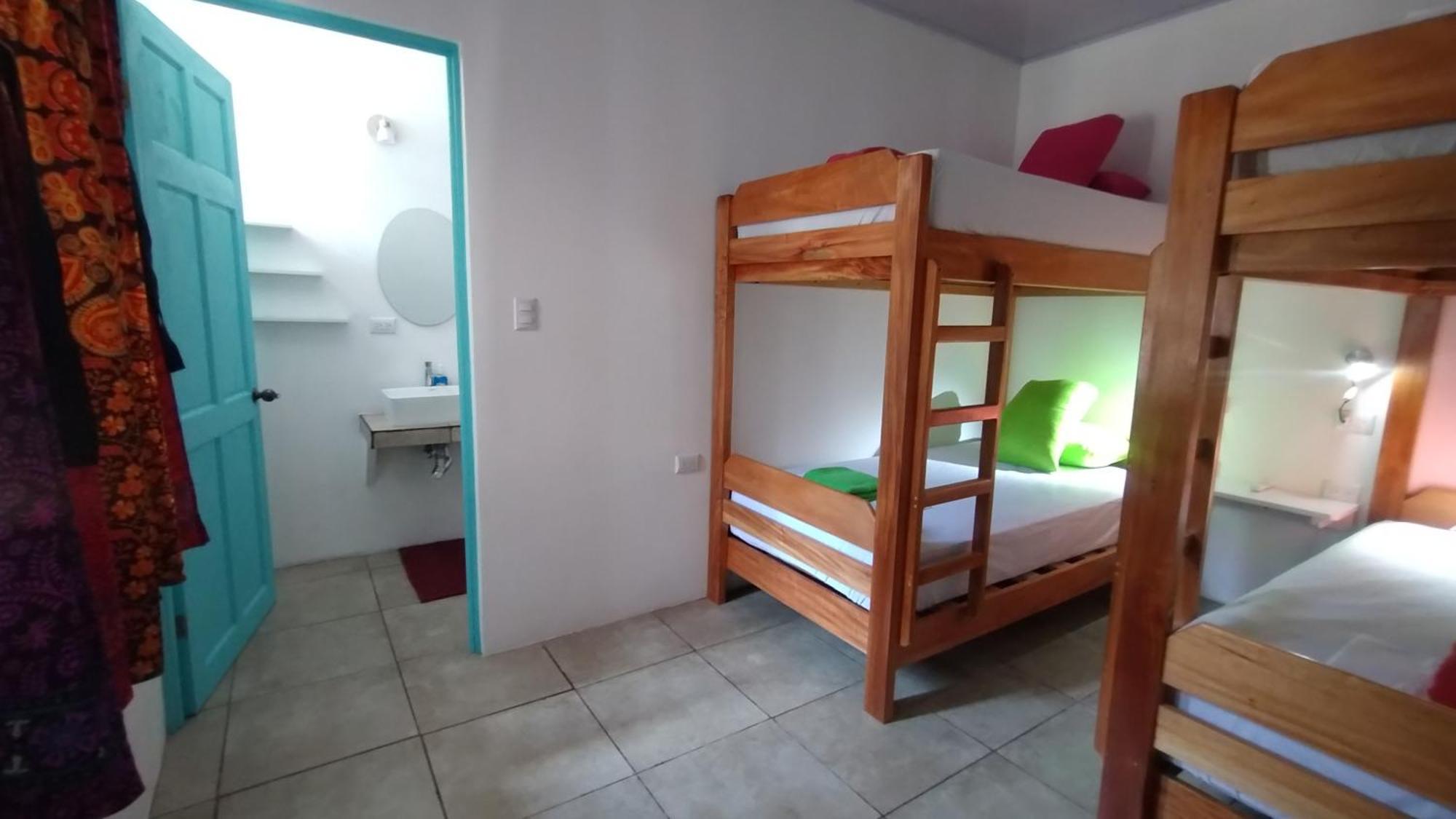 Casajungla