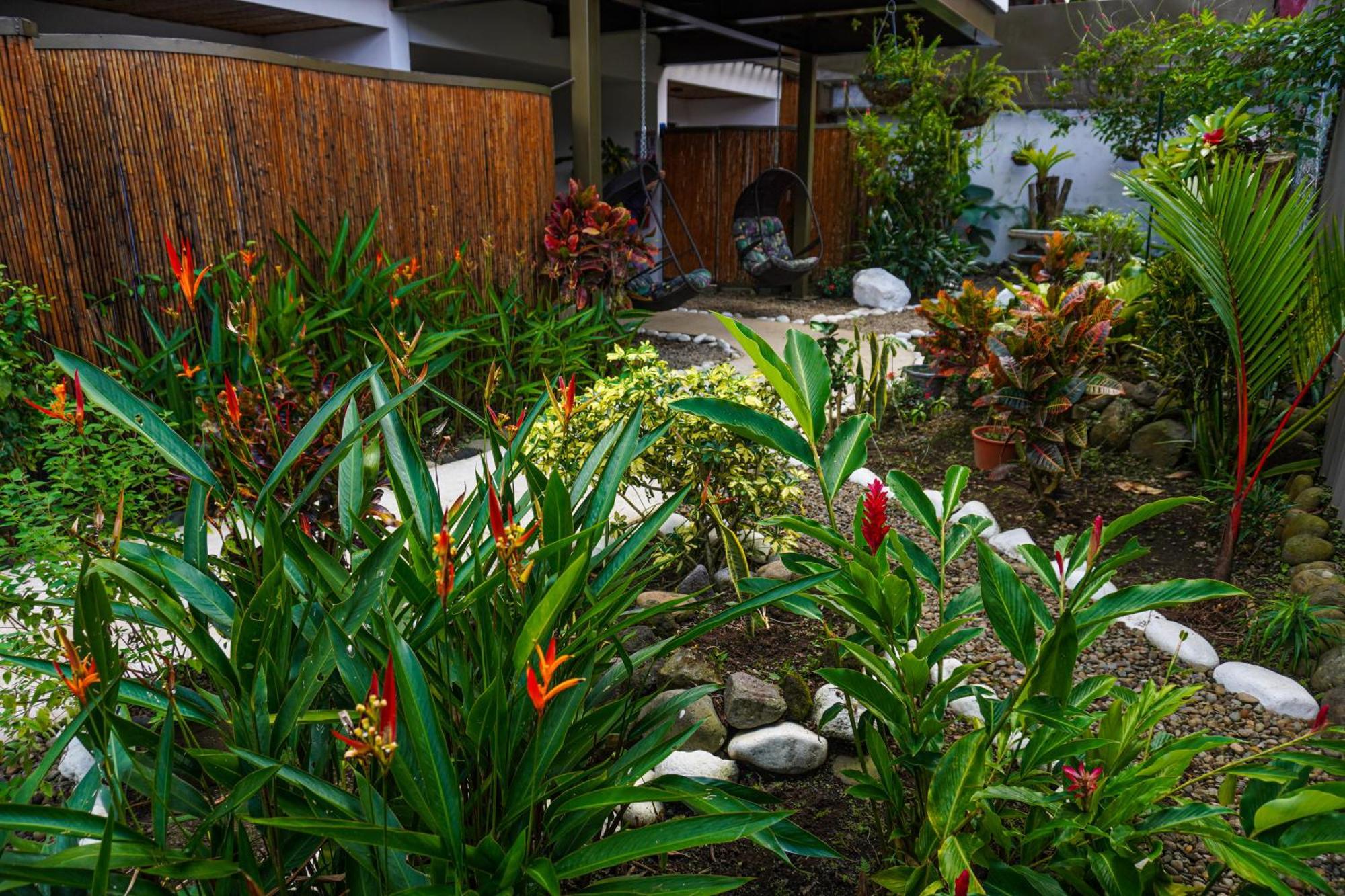 By Treebu Bed & Breakfast La Fortuna