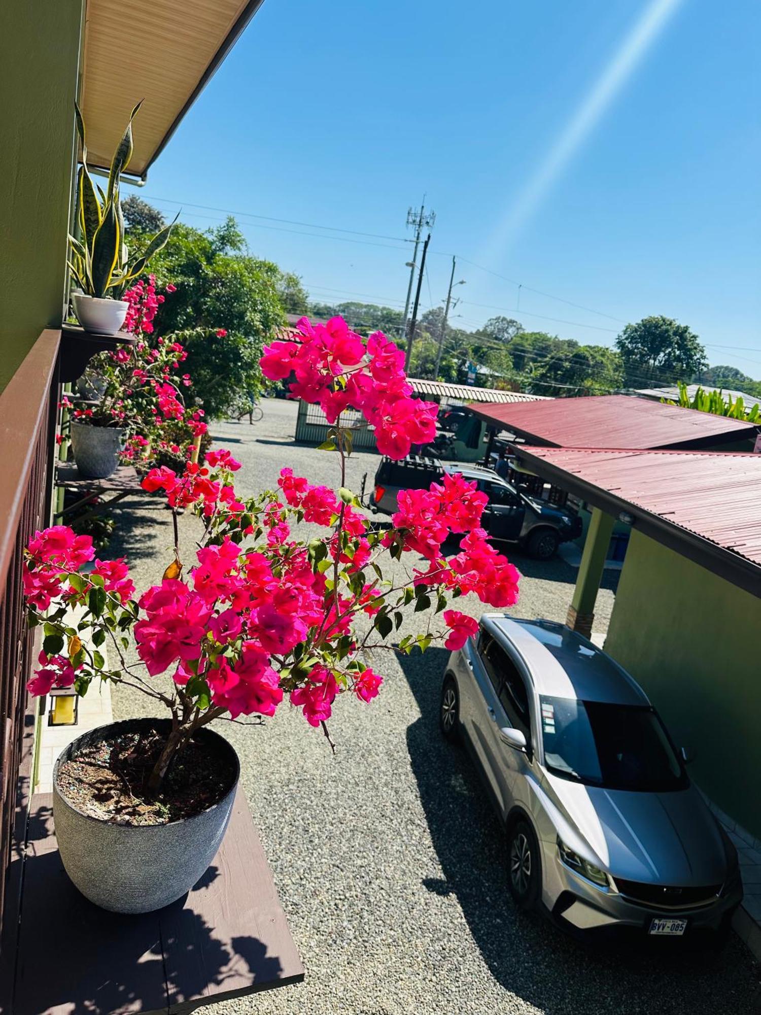 La Fiore De Bahia *