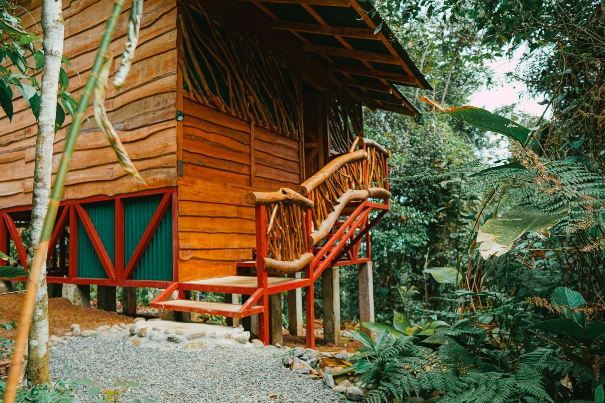 La Tigra Rainforest La Fortuna