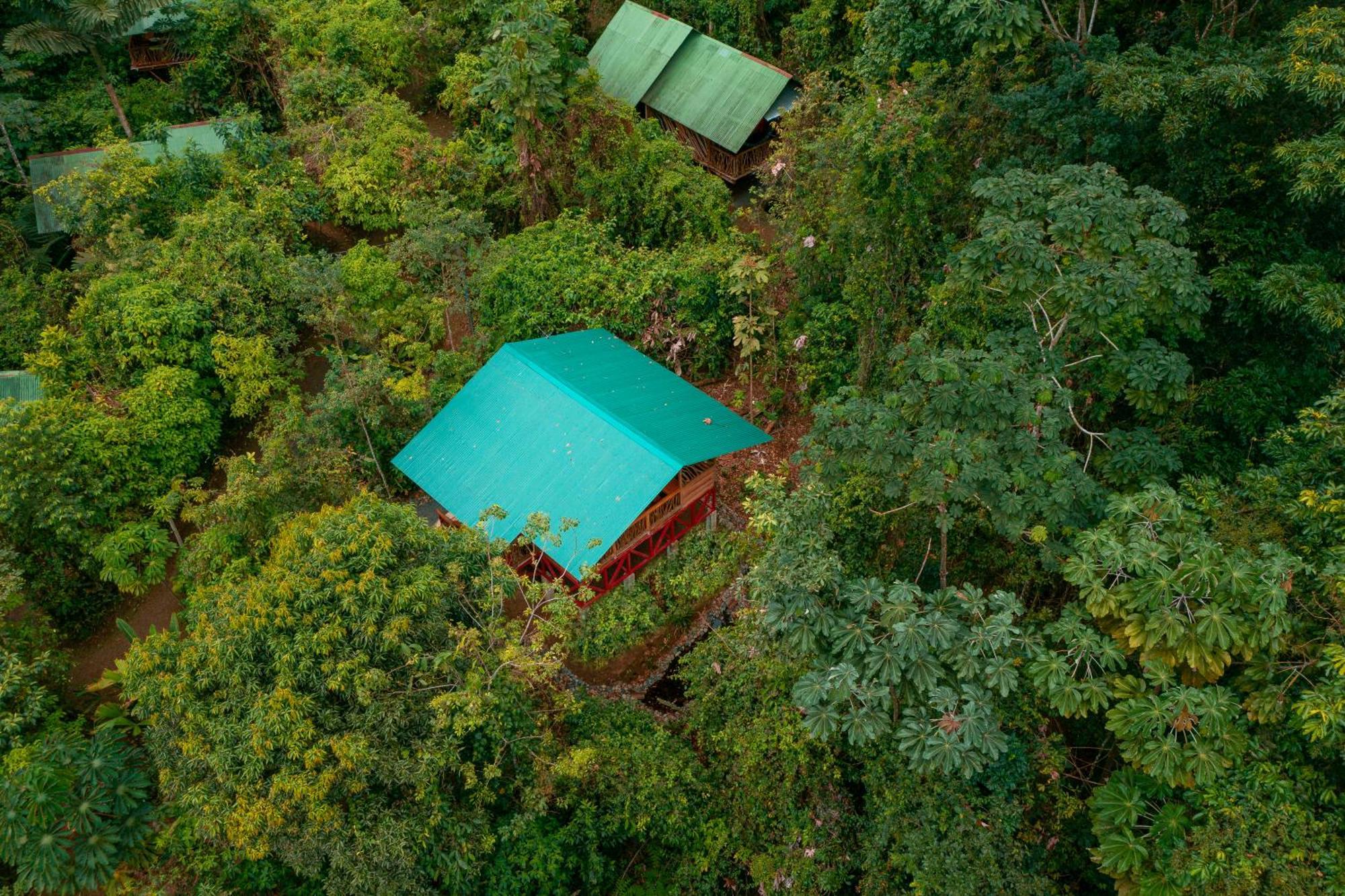 Lodge La Tigra Rainforest La Fortuna