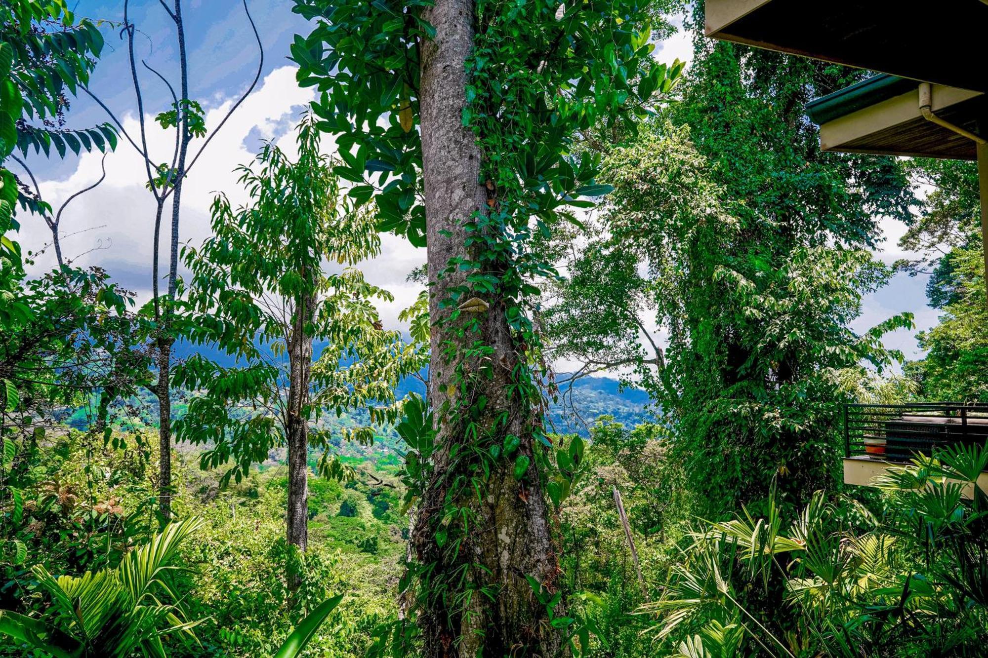 Casa Vista Holiday home Uvita
