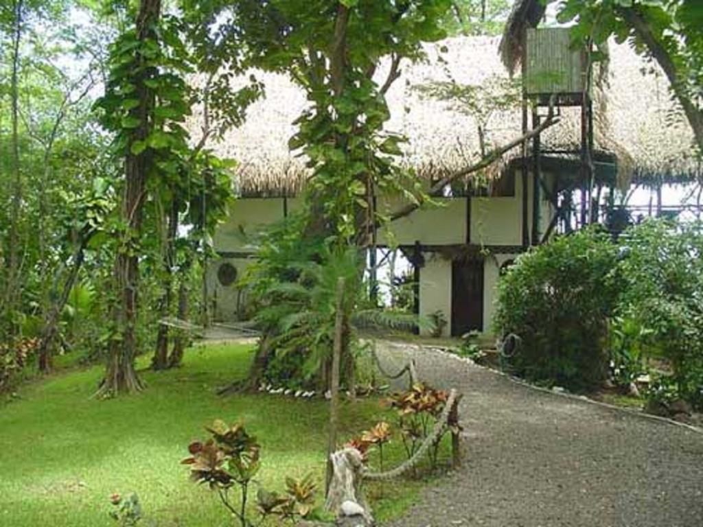 Treetops 2*