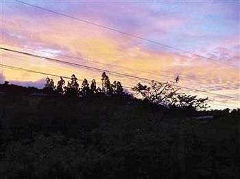 Golden Forest 3* Monteverde