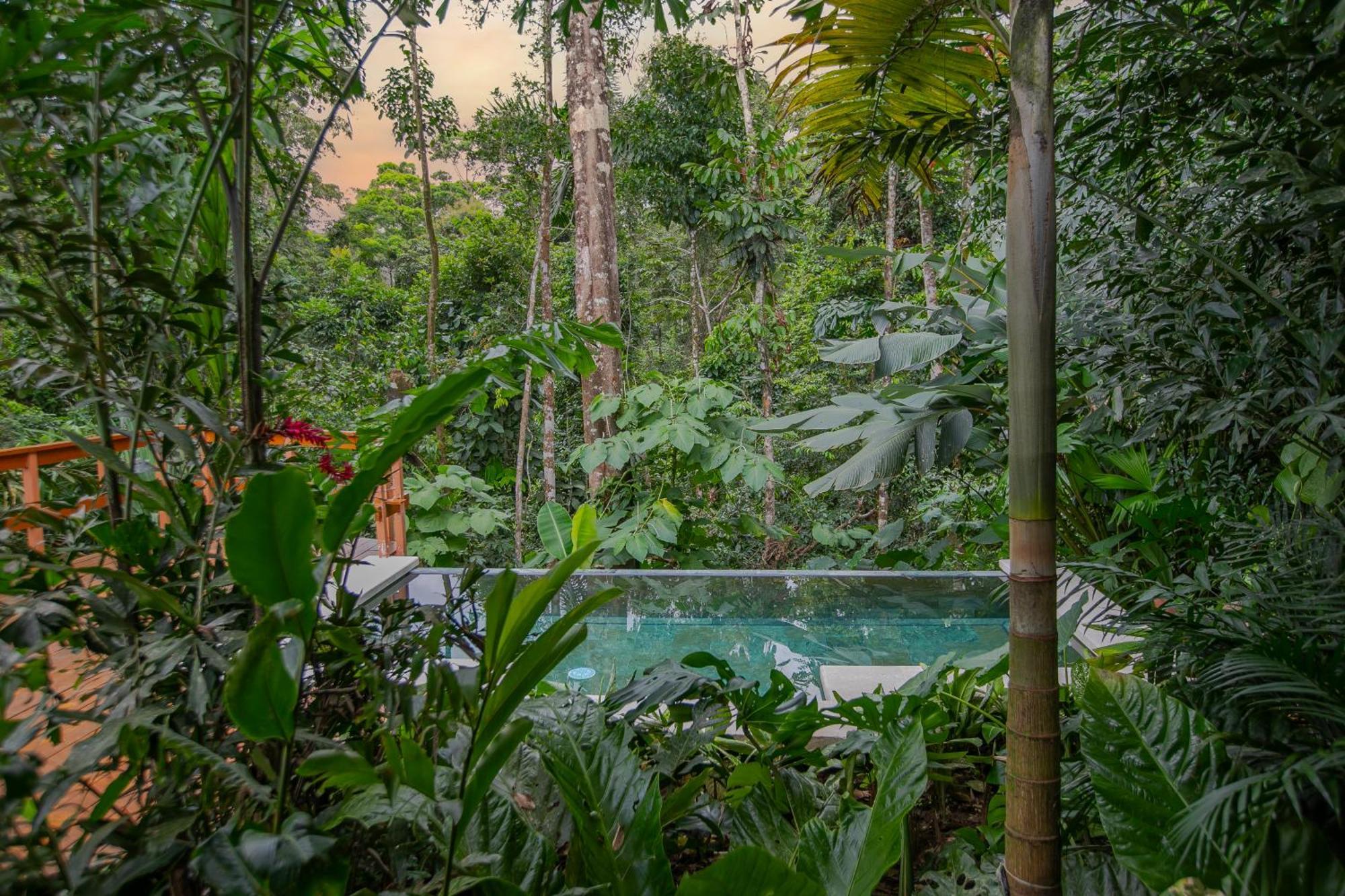 Chachagua Rainforest & Hot Springs Hotel