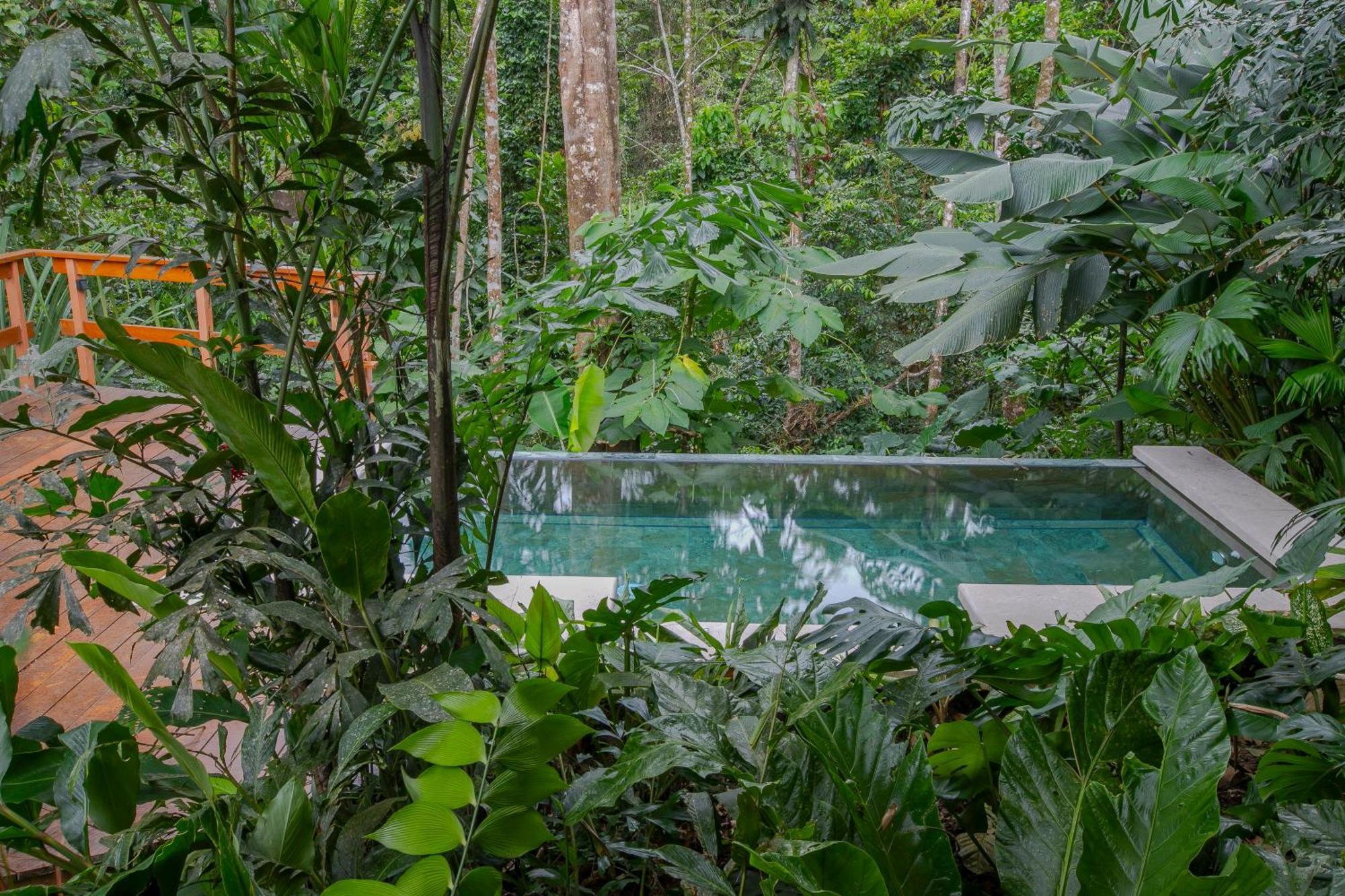 Chachagua Rainforest & Hot Springs La Fortuna
