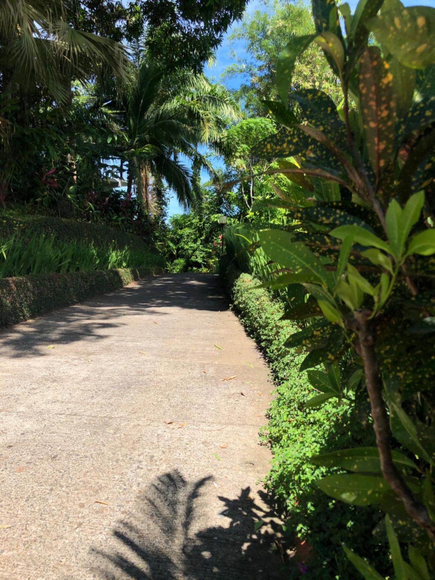 La Mariposa Hotel Manuel Antonio