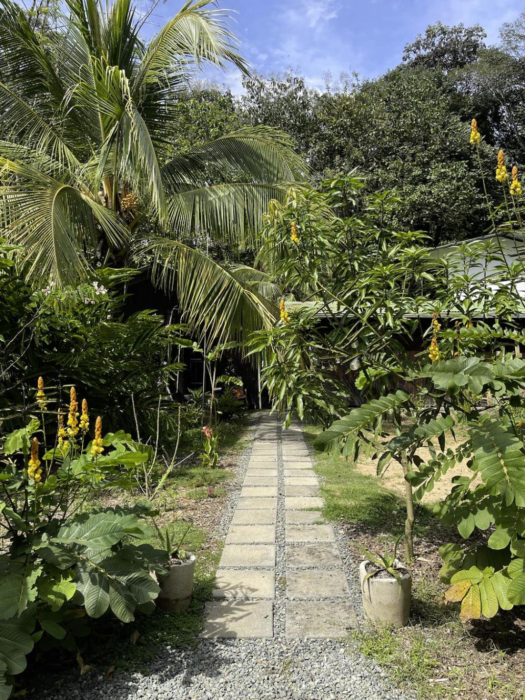Casa Morpho Uvita