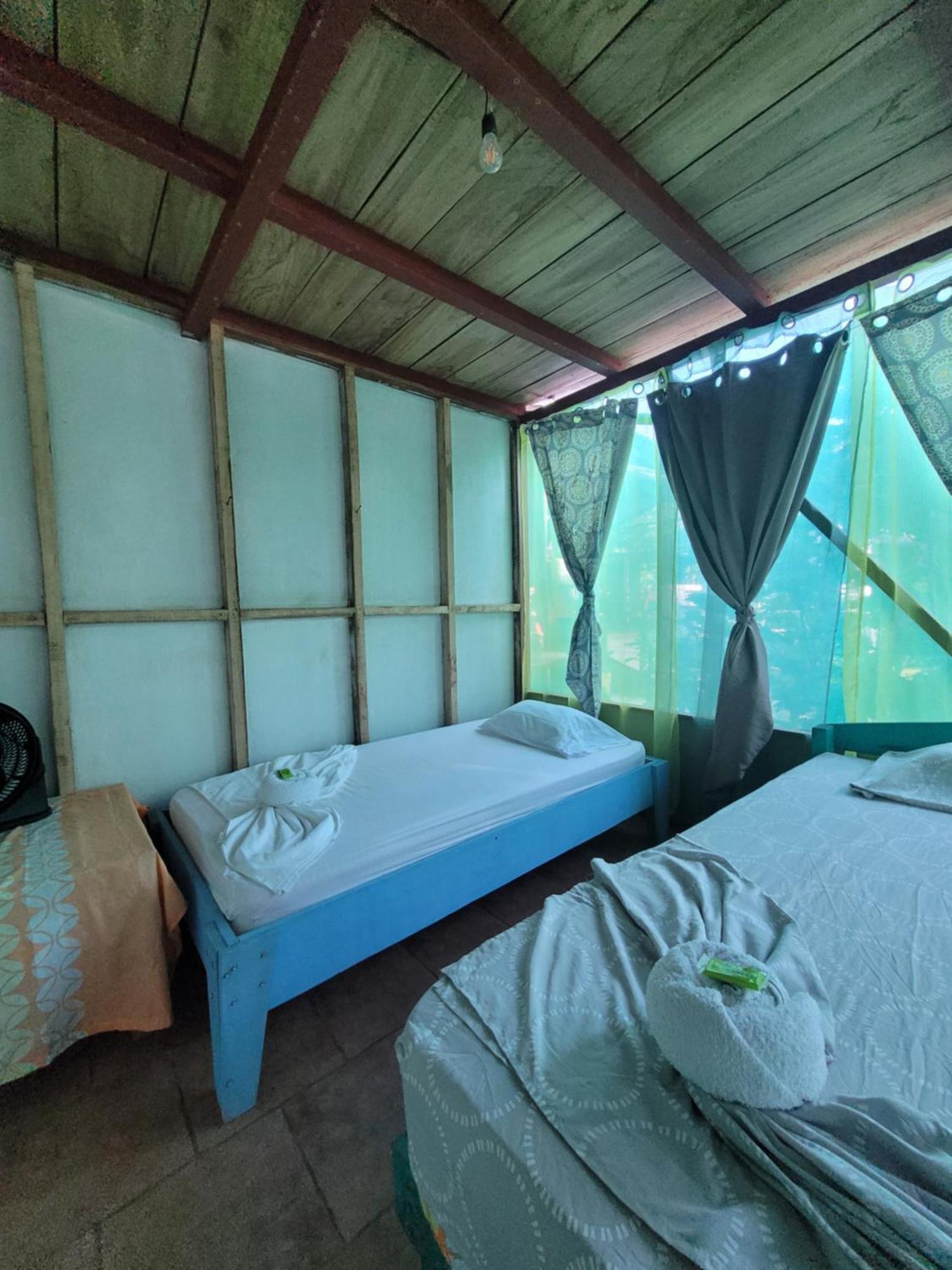 Life For Life Hostel: Sea Turtle Conservation At Hostel *