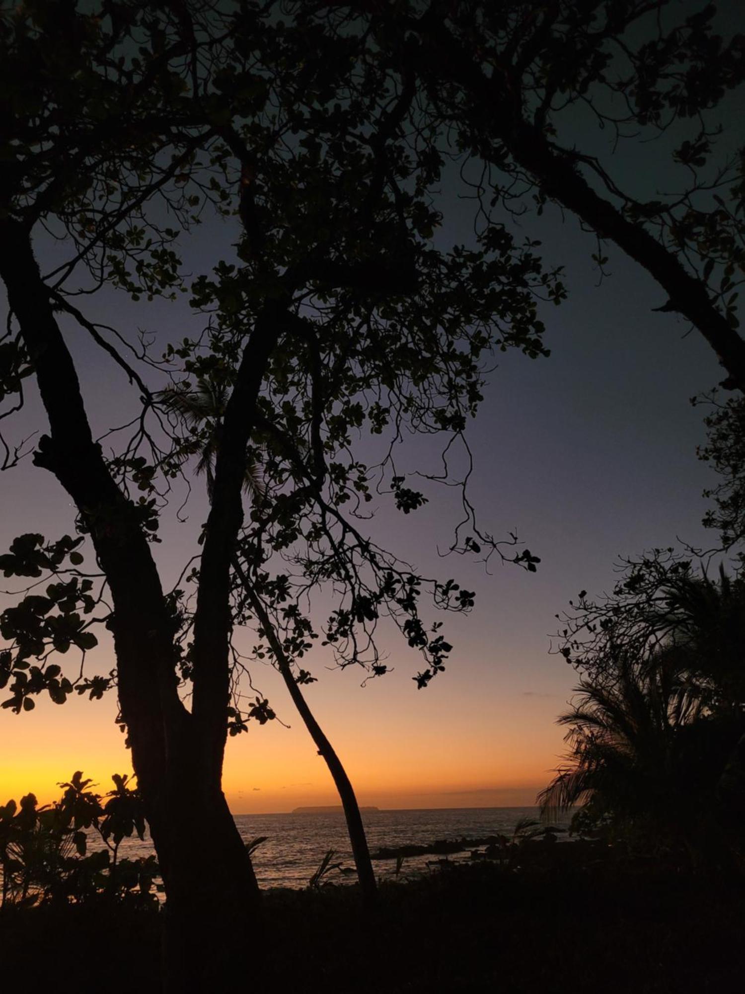 Hostel Life For Life Hostel: Sea Turtle Conservation At Drake Bay