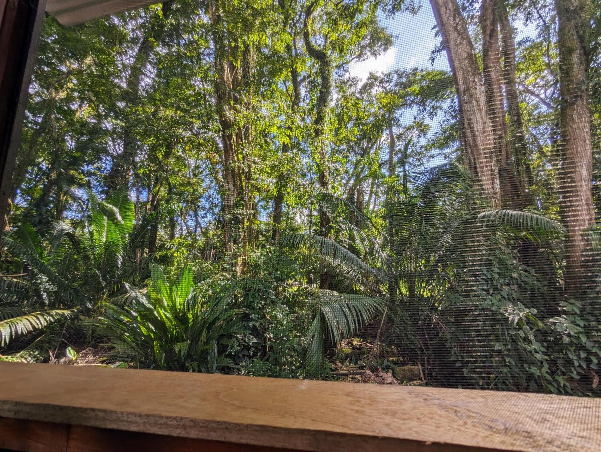 Lodge Arboura Eco